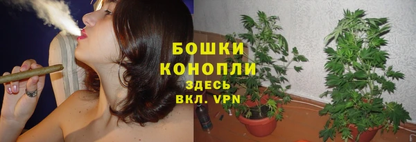 ГАЛЛЮЦИНОГЕННЫЕ ГРИБЫ Верхний Тагил