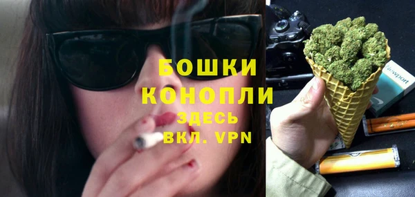 дживик Верея