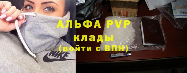 дживик Верея