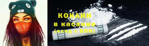 дживик Верея