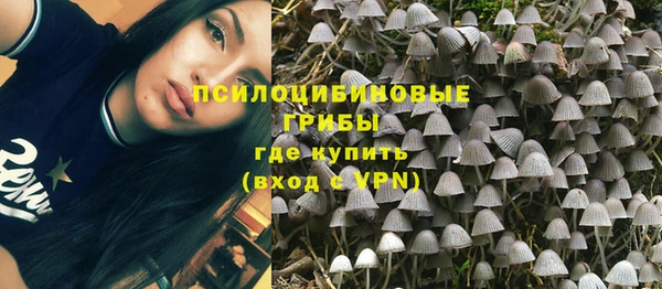 ГАЛЛЮЦИНОГЕННЫЕ ГРИБЫ Верхний Тагил