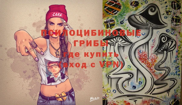 ГАЛЛЮЦИНОГЕННЫЕ ГРИБЫ Верхний Тагил