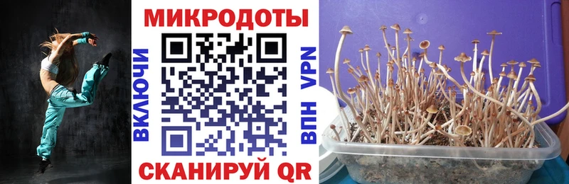Купить где  Бугульма  Псилоцибиновые грибы Psilocybe 
